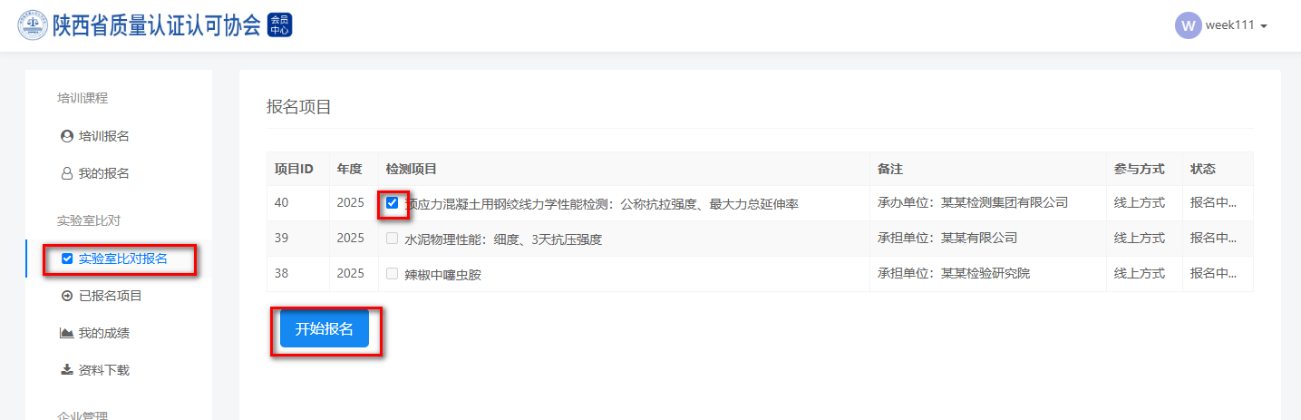 项目列表