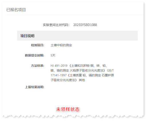 项目详情